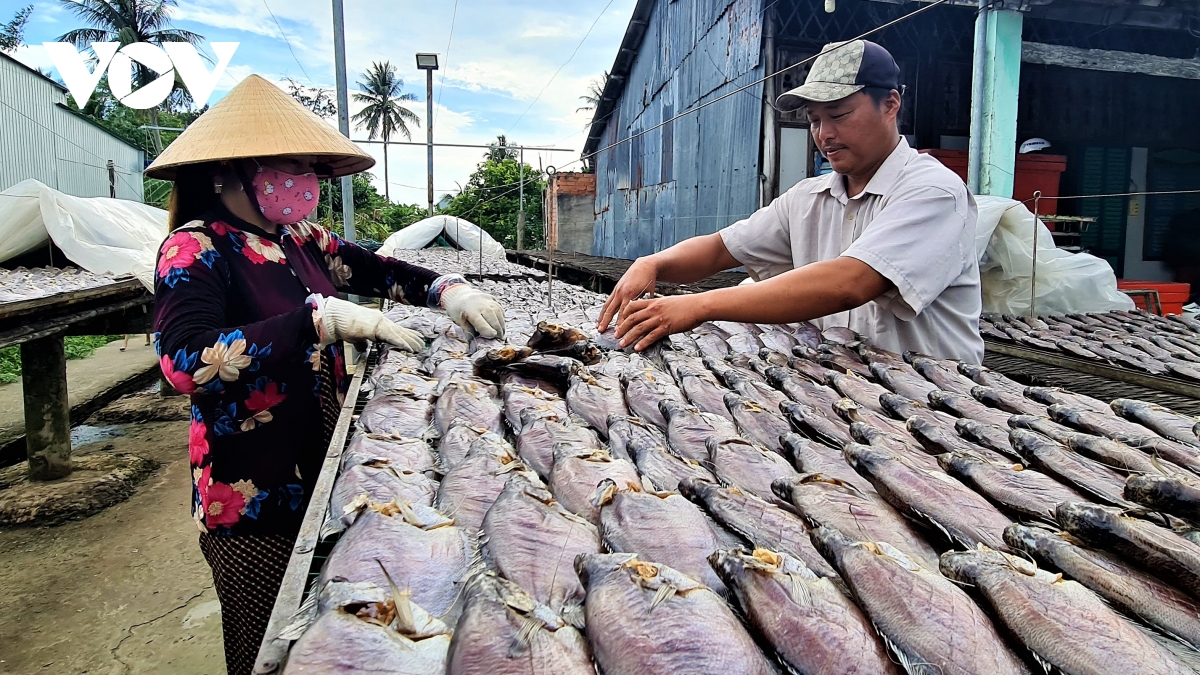ocop nang chat luong nhan hieu ca kho boi u minh hinh anh 1