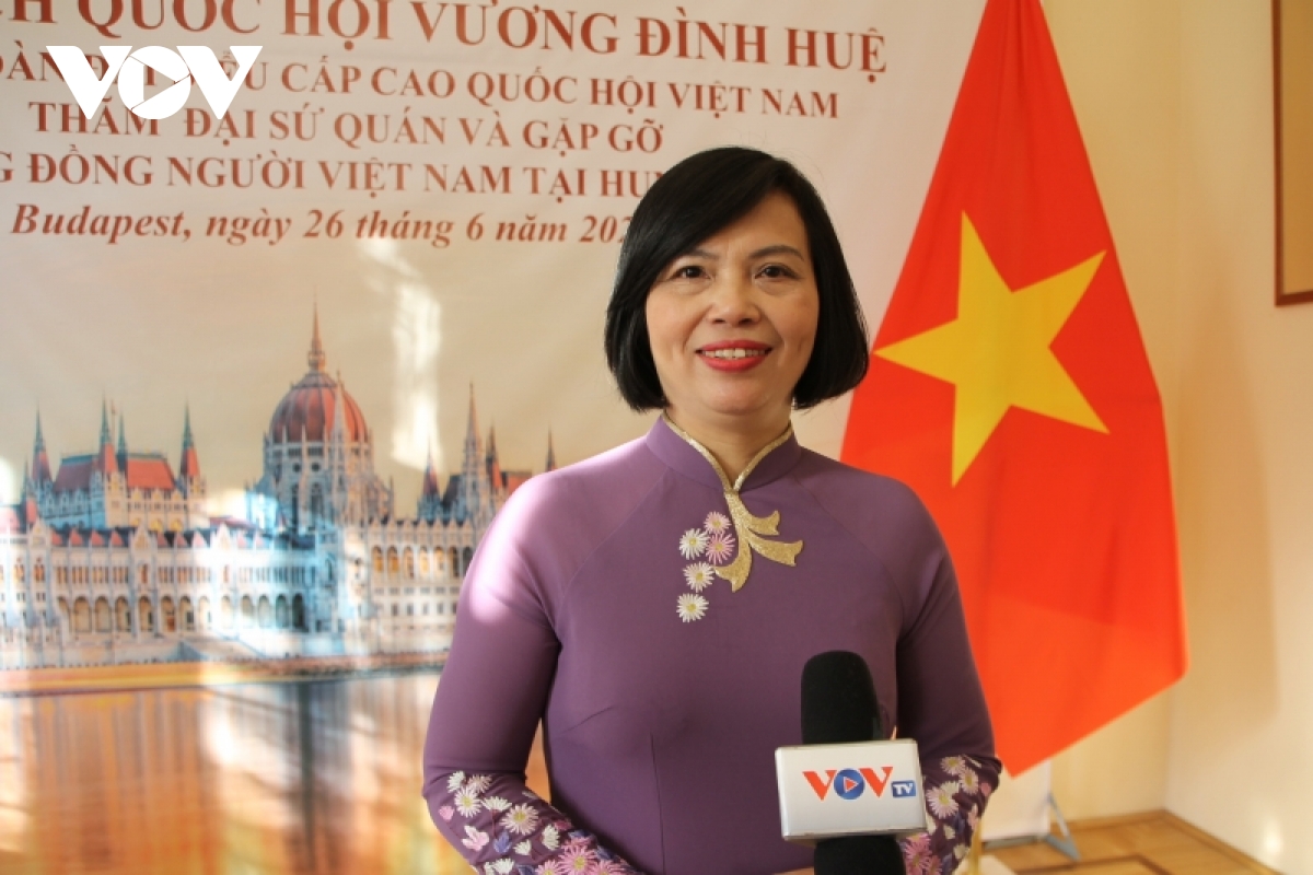 thuc day quan he doi tac toan dien giua viet nam-hungary hinh anh 1