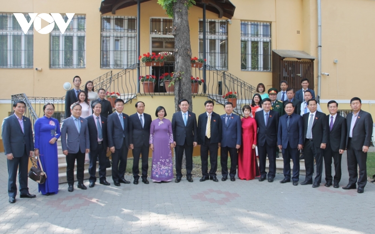 thuc day quan he doi tac toan dien giua viet nam-hungary hinh anh 3