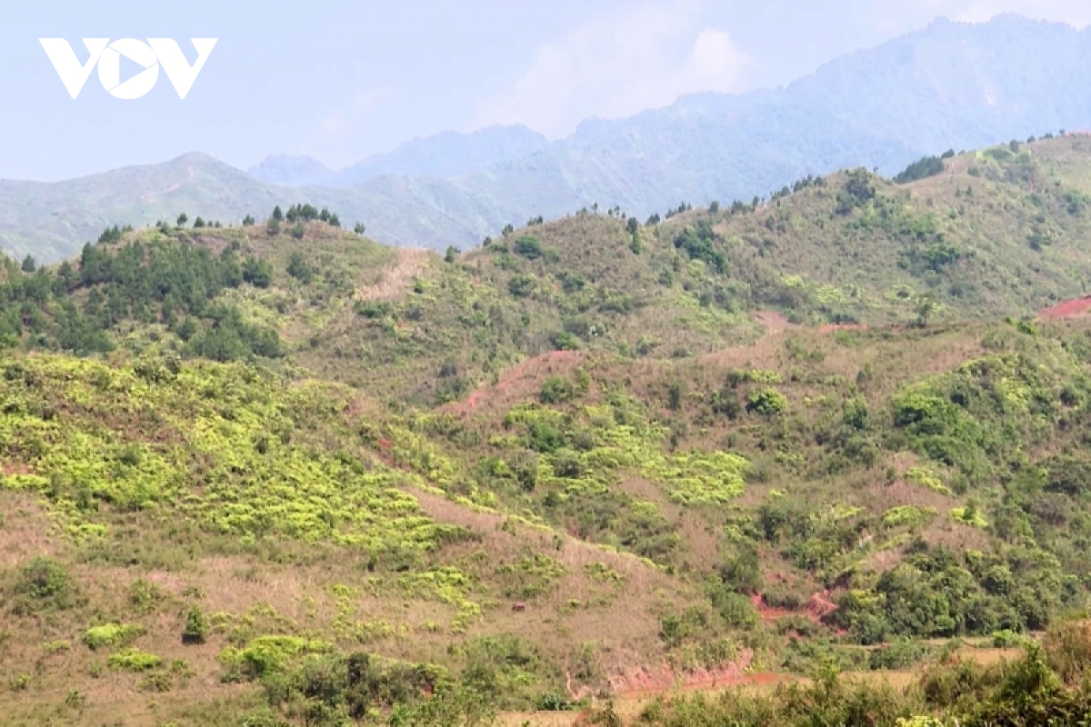lai chau thu hoi, dieu chinh 12 du an trong rung cham tien do hinh anh 1