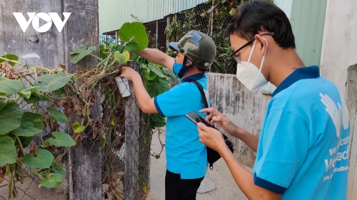 binh duong no luc kiem soat dich sot xuat huyet hinh anh 4