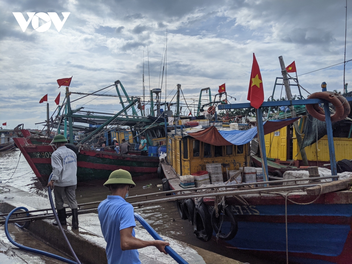 hai phong san sang phuong an ung pho bao so 1 hinh anh 1