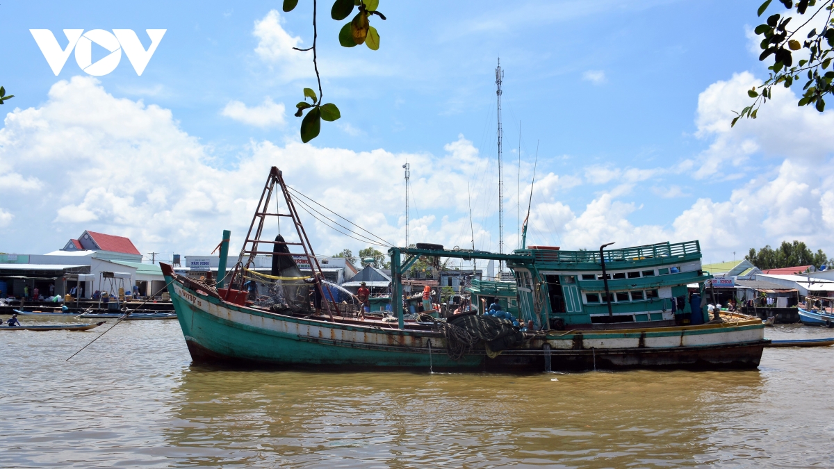 ca mau de nghi xu phat don vi cung cap thiet bi giam sat tau ca kem chat luong hinh anh 1