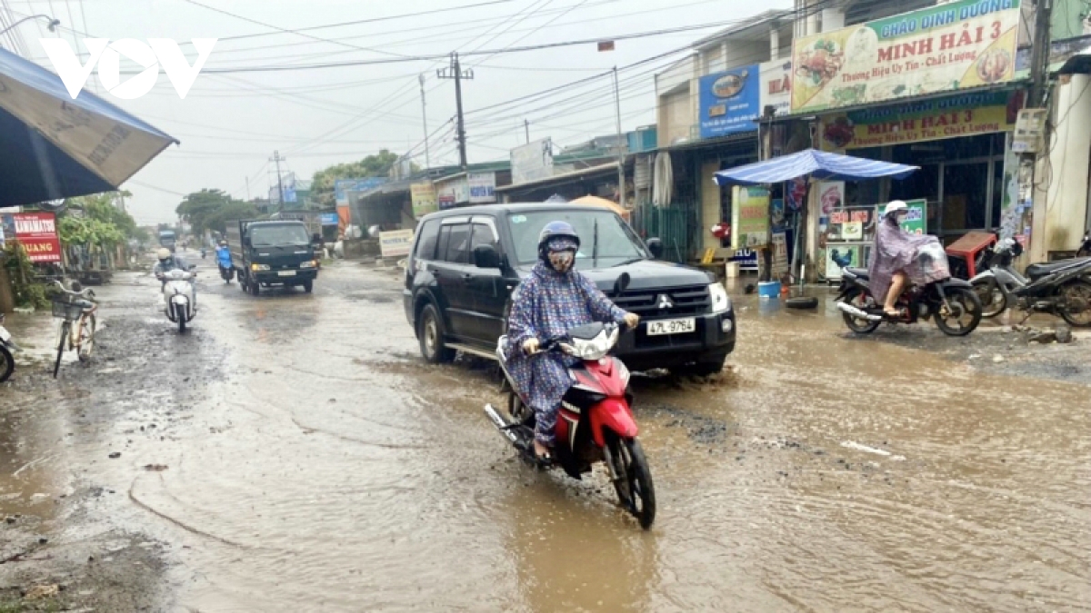 Dau tu cao toc o tay nguyen khong chi la con duong hinh anh 3