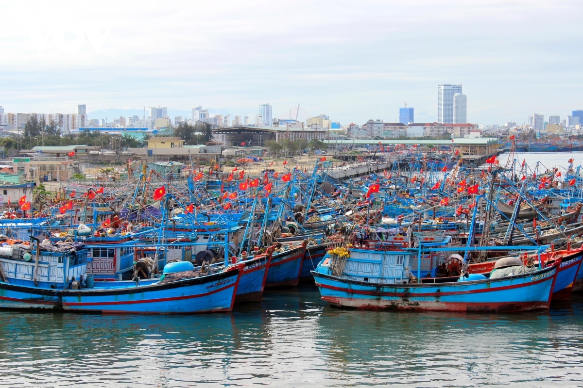 hon 50 so tau ca cua ngu dan Da nang khong the ra khoi hinh anh 1
