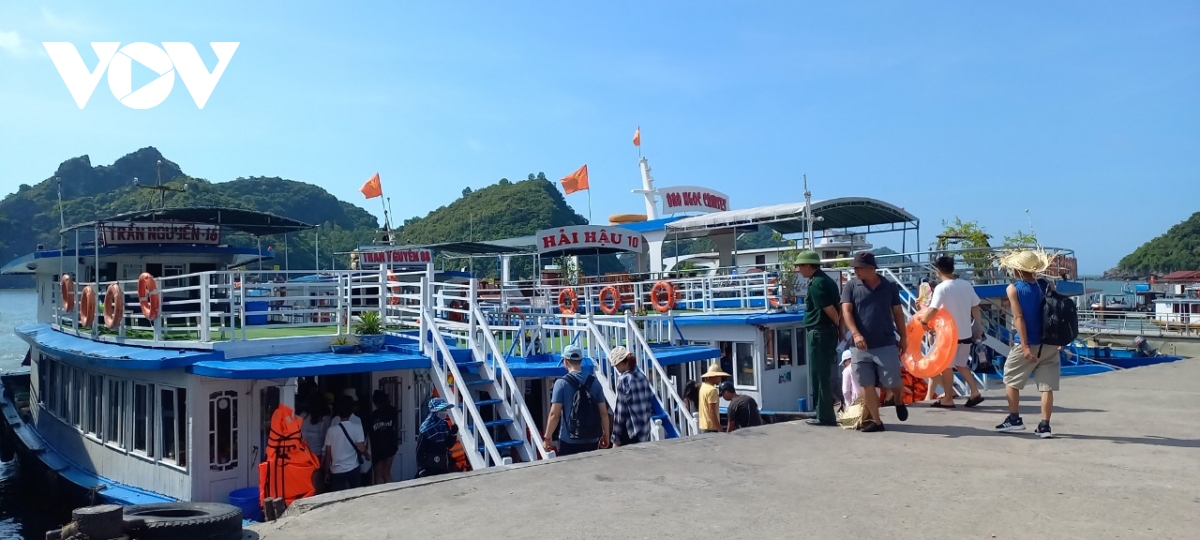 cat ba nhon nhip du lich he hinh anh 1