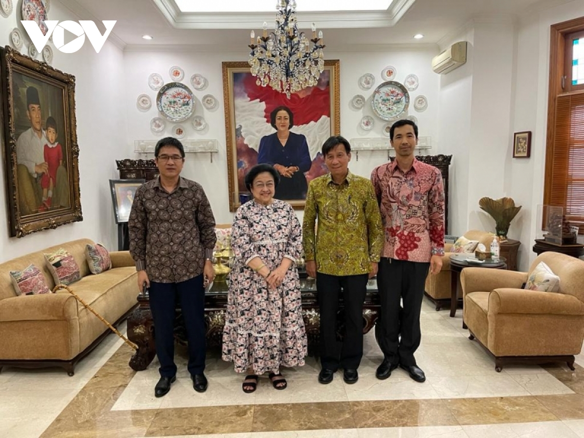 thuc day quan he doi tac toan dien viet nam-indonesia di vao thuc chat, hieu qua hinh anh 2
