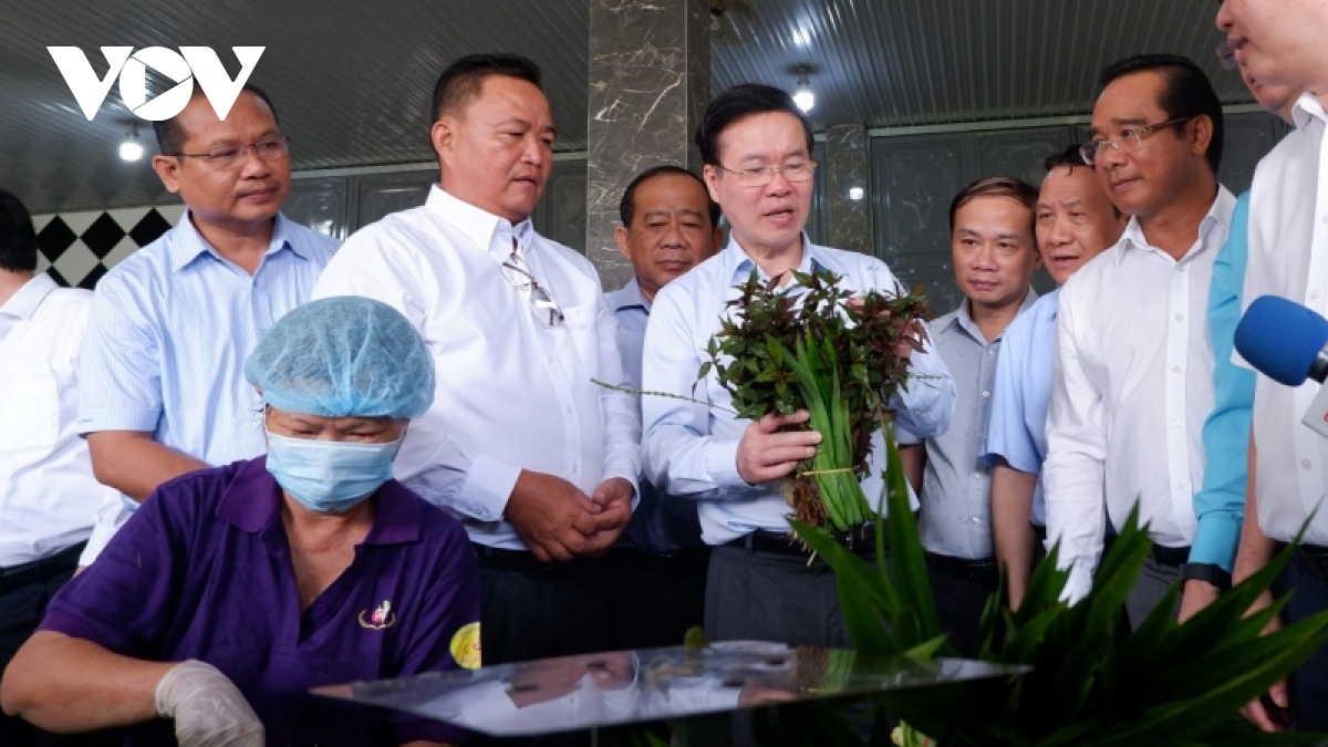 Ong vo van thuong yeu cau long an nang cao hieu qua lanh dao, chi dao cua Dang hinh anh 3