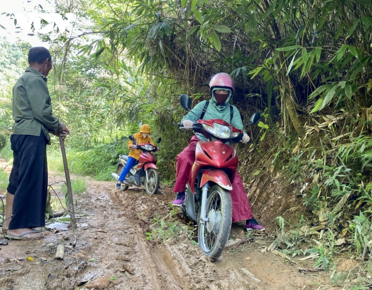  cong thuoc len non hinh anh 4