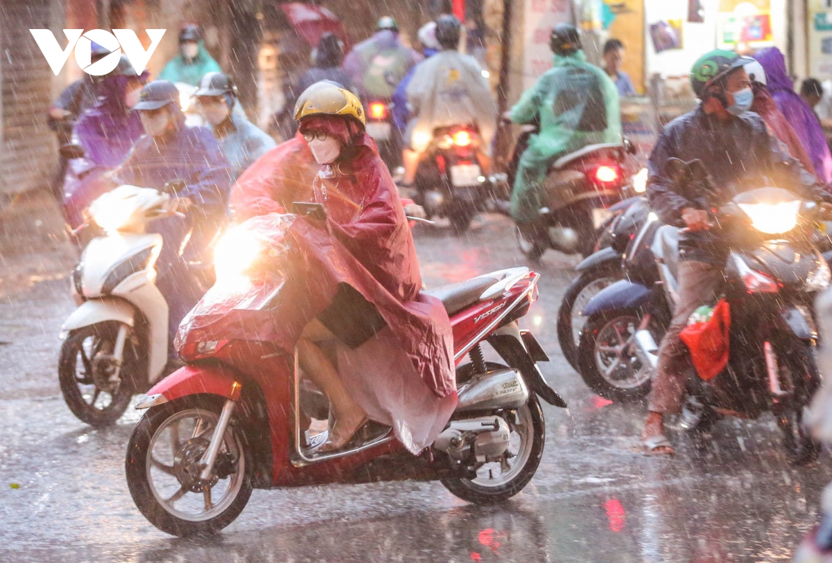 thoi tiet ngay 7 7 bac bo co mua to den rat to hinh anh 1