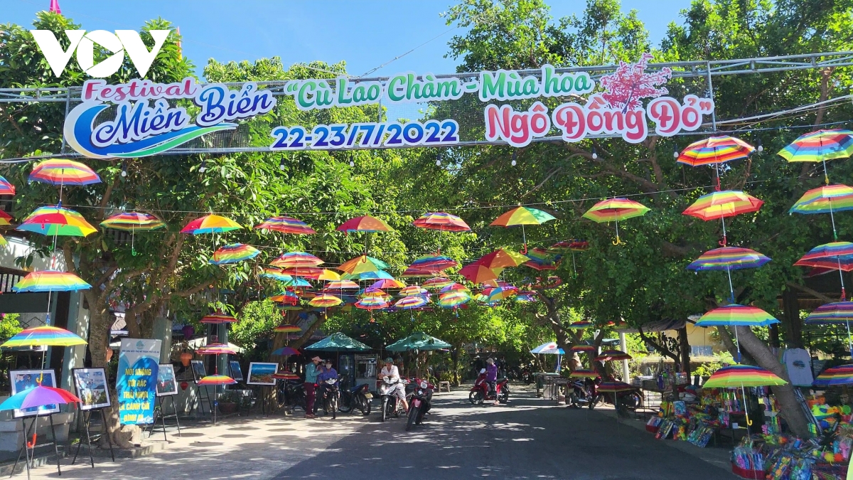 festival mien bien cu lao cham - mua hoa ngo dong do hinh anh 1