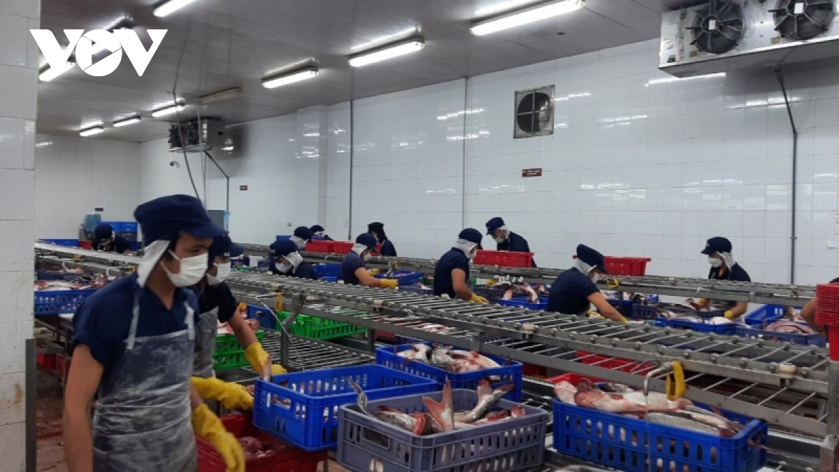 gia mat hang ca tra xuat khau tang hinh anh 1