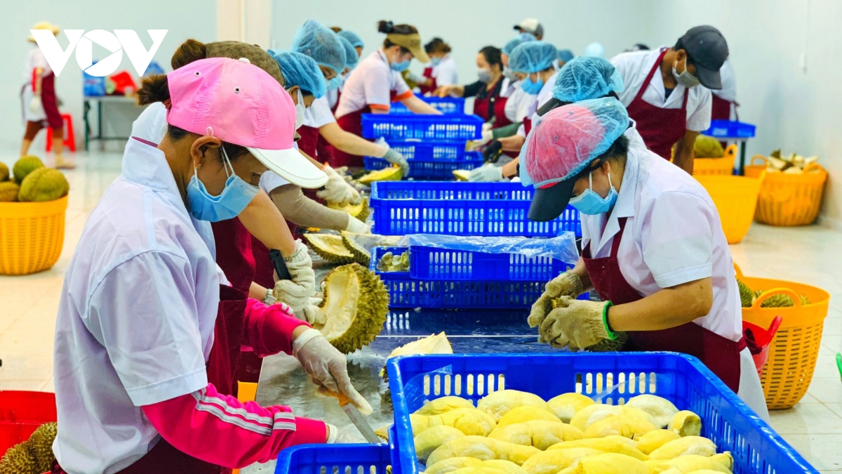 xuat sieu nong, lam, thuy san tang gan 2 lan so voi cung ky 2021 hinh anh 1