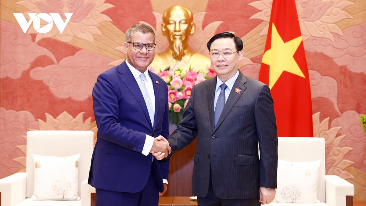 chu tich quoc hoi vuong Dinh hue tiep chu tich cop-26 hinh anh 1