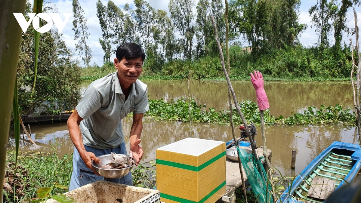 lu ve muon, nong dan vung bien gioi long an tat bat doi sinh ke hinh anh 1