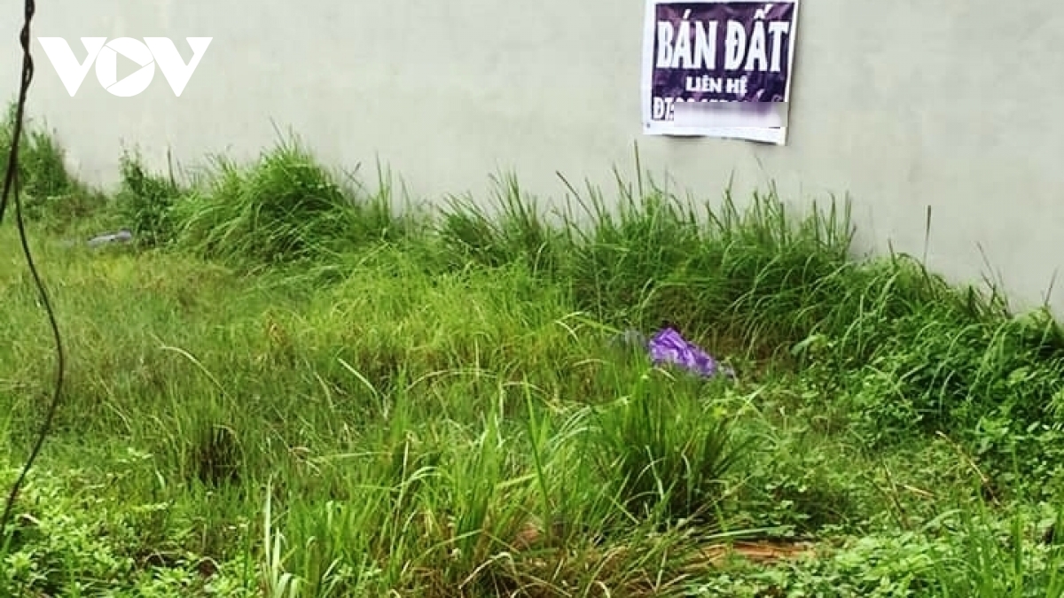 binh phuoc bao dong lua dao mua ban dat cua dong bao dan toc thieu so hinh anh 1
