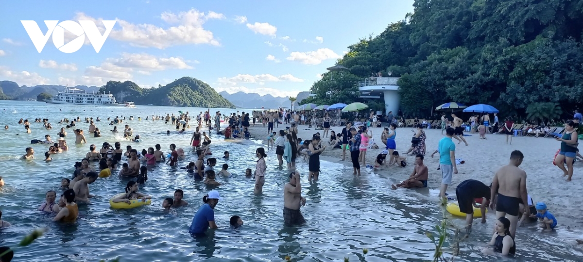 vi sao du khach tham quan vinh ha long khong duoc len dao soi sim hinh anh 2