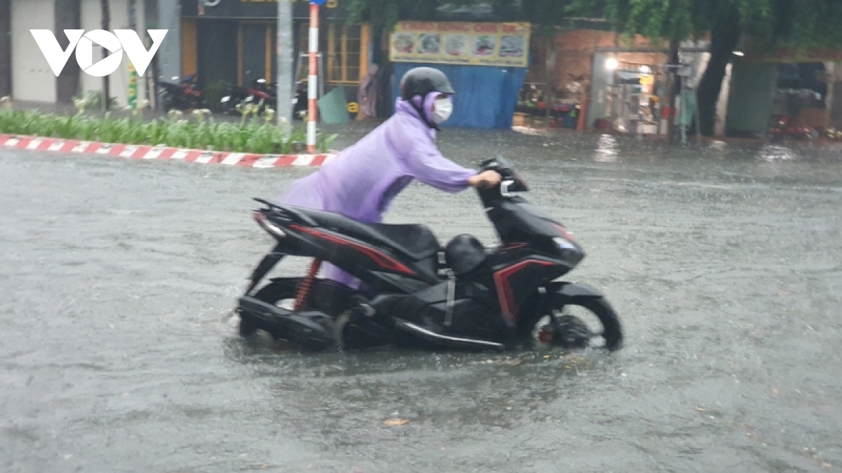 Duong vua nang cap, mo rong da ngap thanh song hinh anh 6