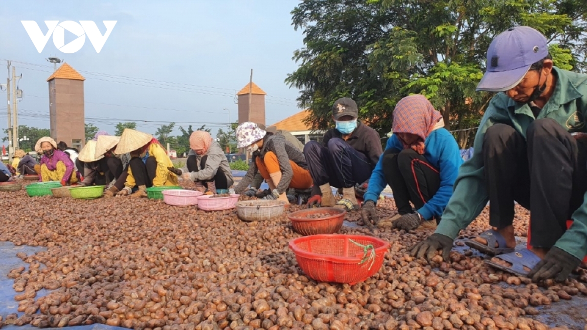 doanh nghiep xuat khau nong san can bat tay nhau vuot kho hinh anh 1