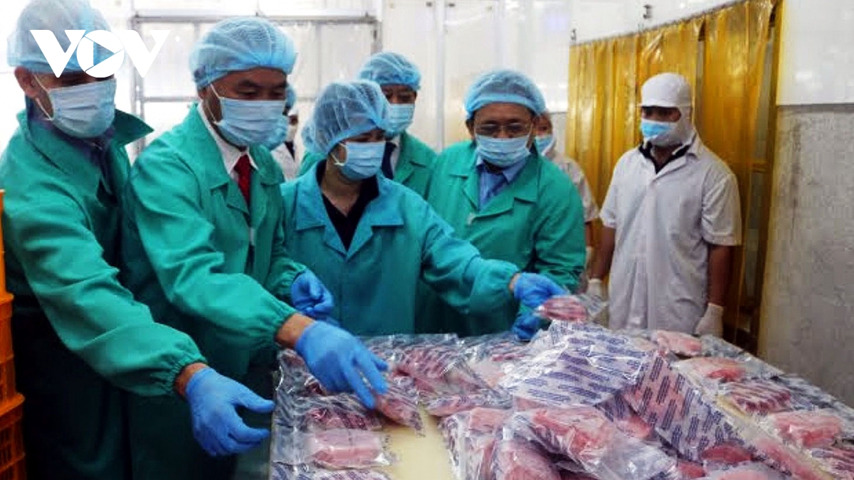 nam vung quy tac xuat xu de tang kim ngach xuat khau vao eu hinh anh 2