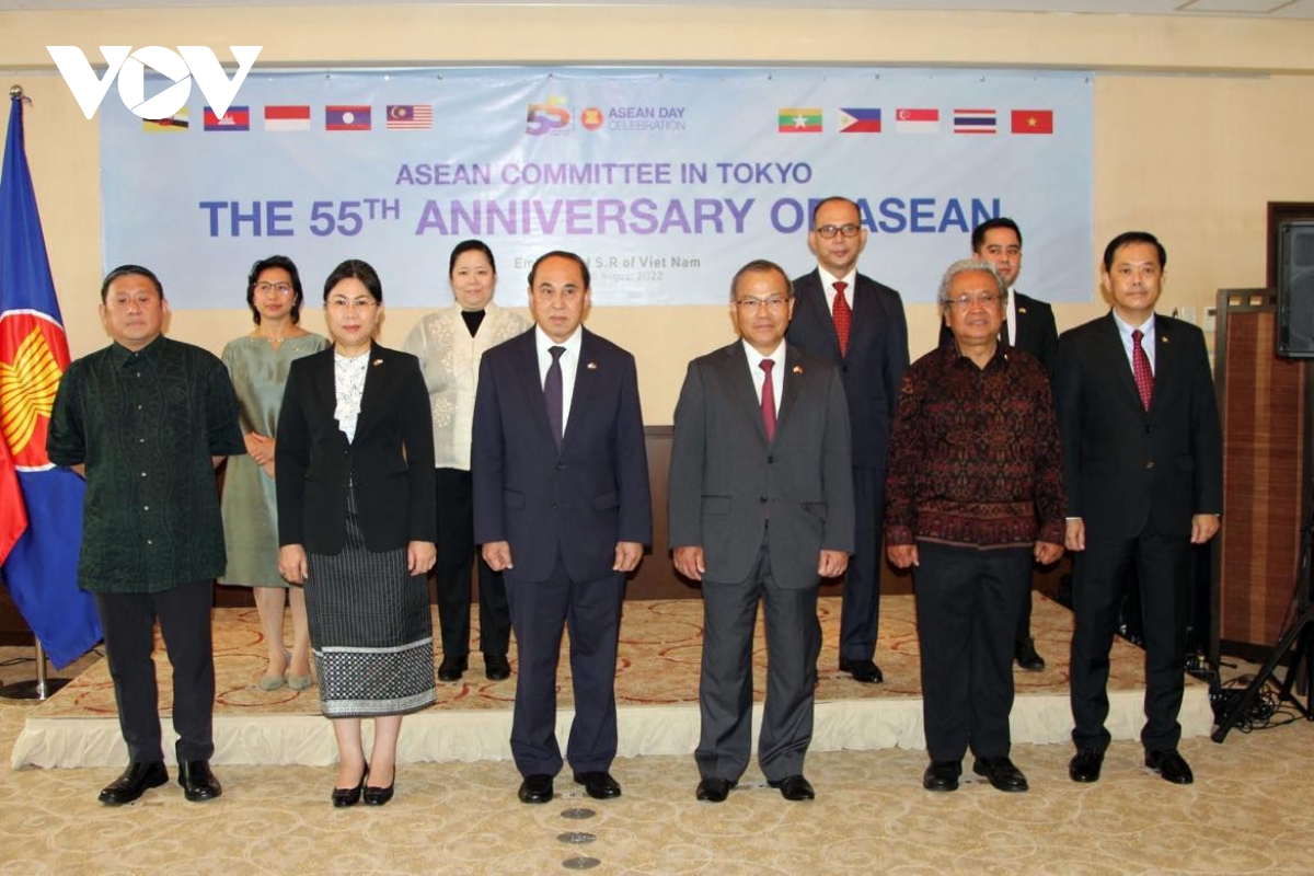 viet nam ky niem 55 nam thanh lap asean tai nhat ban hinh anh 2