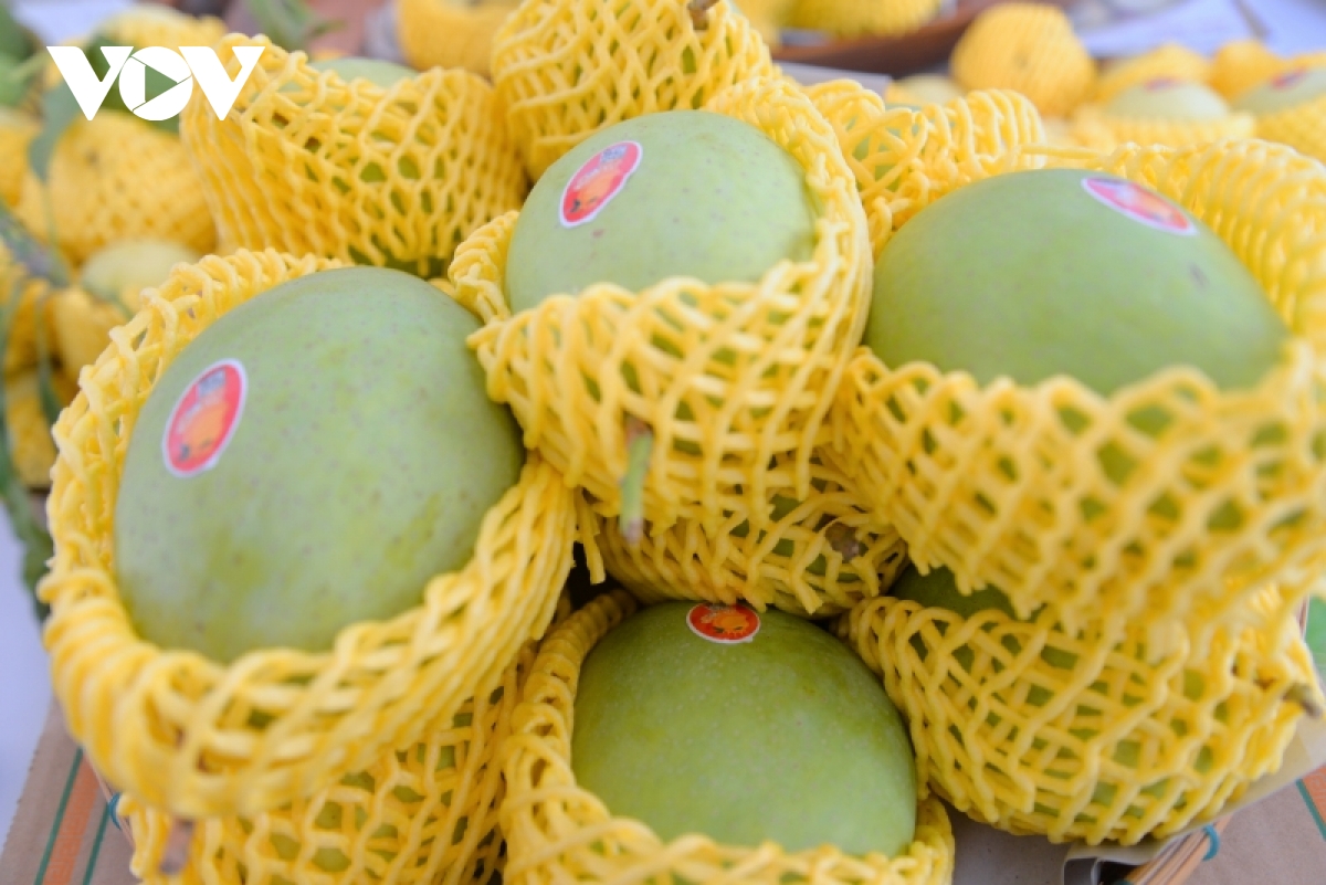 Dong thap huong den muc tieu 3,2 ty dong 1 ha dat nuoi trong thuy san hinh anh 2