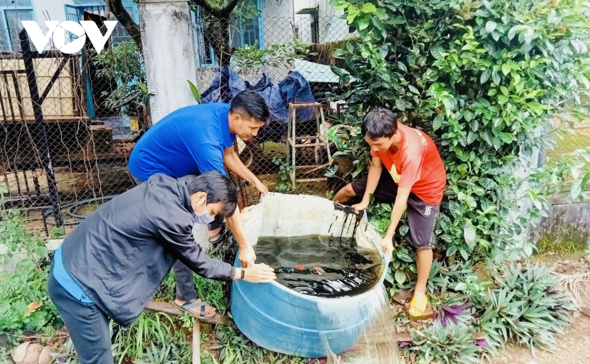 gia lai chung tay day lui sot xuat huyet hinh anh 2