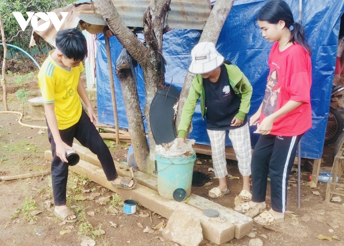 gia lai chung tay day lui sot xuat huyet hinh anh 1
