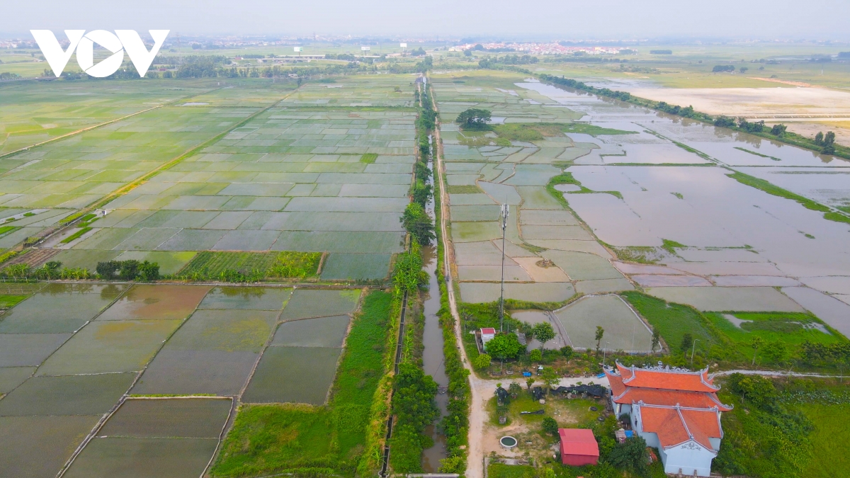 nhie u khuc mac trong den bu giai phong mat bang kcn o yen phong, ba c ninh hinh anh 3