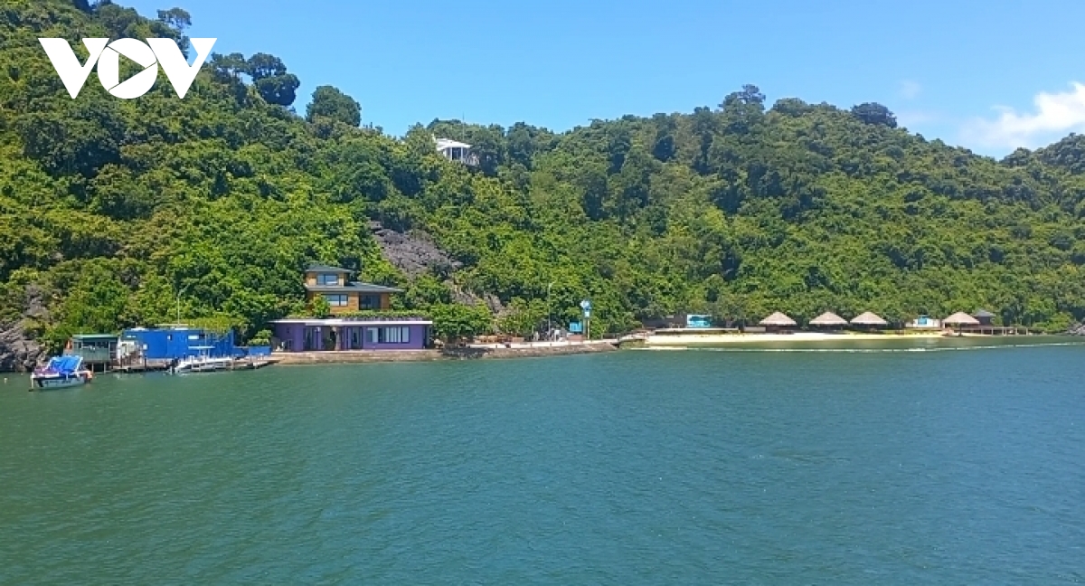 vi sao du khach tham quan vinh ha long khong duoc len dao soi sim hinh anh 4