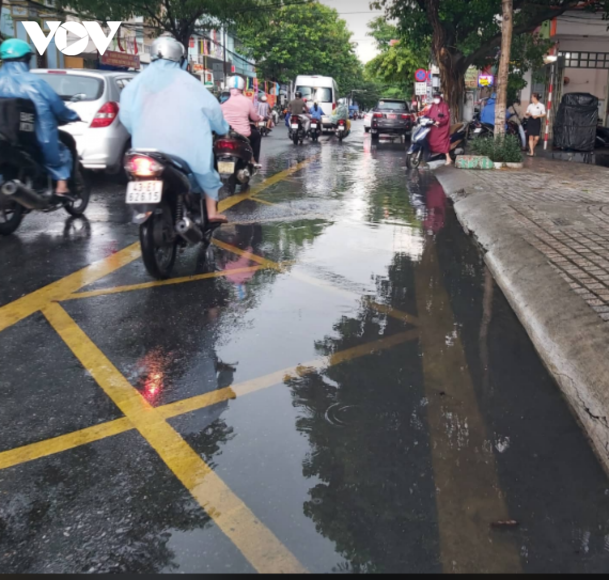 Da nang bat ngo don con mua vang sau nhieu ngay nang nong keo dai hinh anh 2
