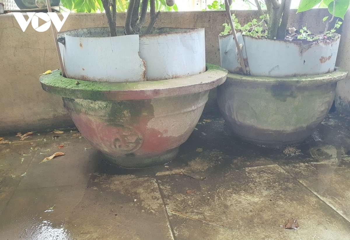 nguy co bung phat sot xuat huyet tai cac ho gia dinh hinh anh 1