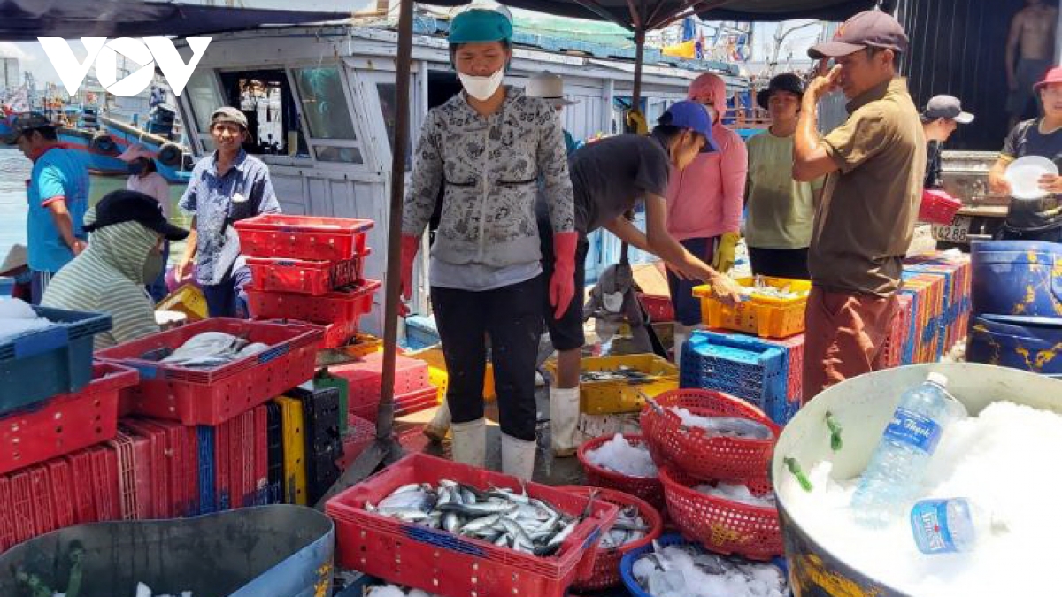 xang, dau giam gia ngu dan mien trung phan khoi vuon khoi hinh anh 2