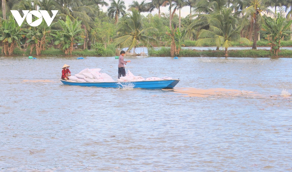 xuat khau thuy san du kien vuot moc tren 10 ty usd trong nam nay hinh anh 3