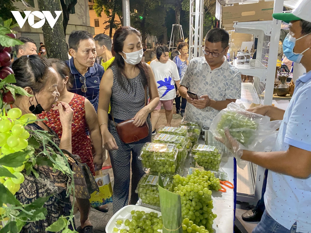 ngay van hoa, du lich ninh thuan tai ha noi thu hut dong dao khach tham quan hinh anh 2