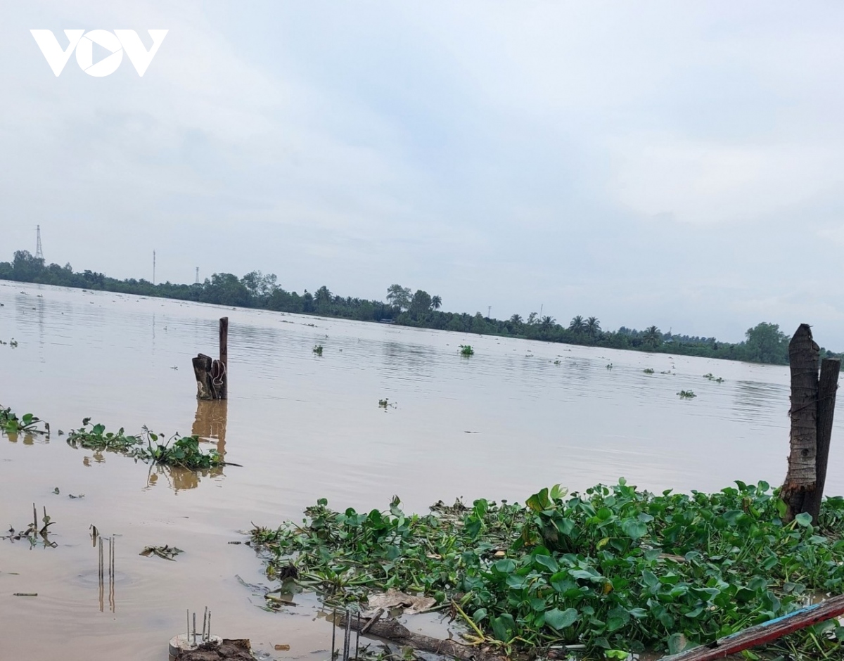 nguyen quyen giam doc benh vien phu san tien giang nhay cau tu tu hinh anh 1