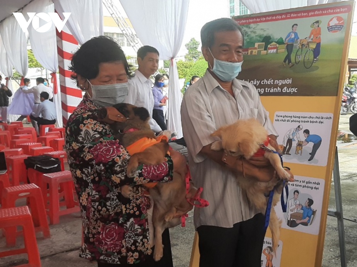 vi sao benh dai bung phat tai tinh ben tre hinh anh 3