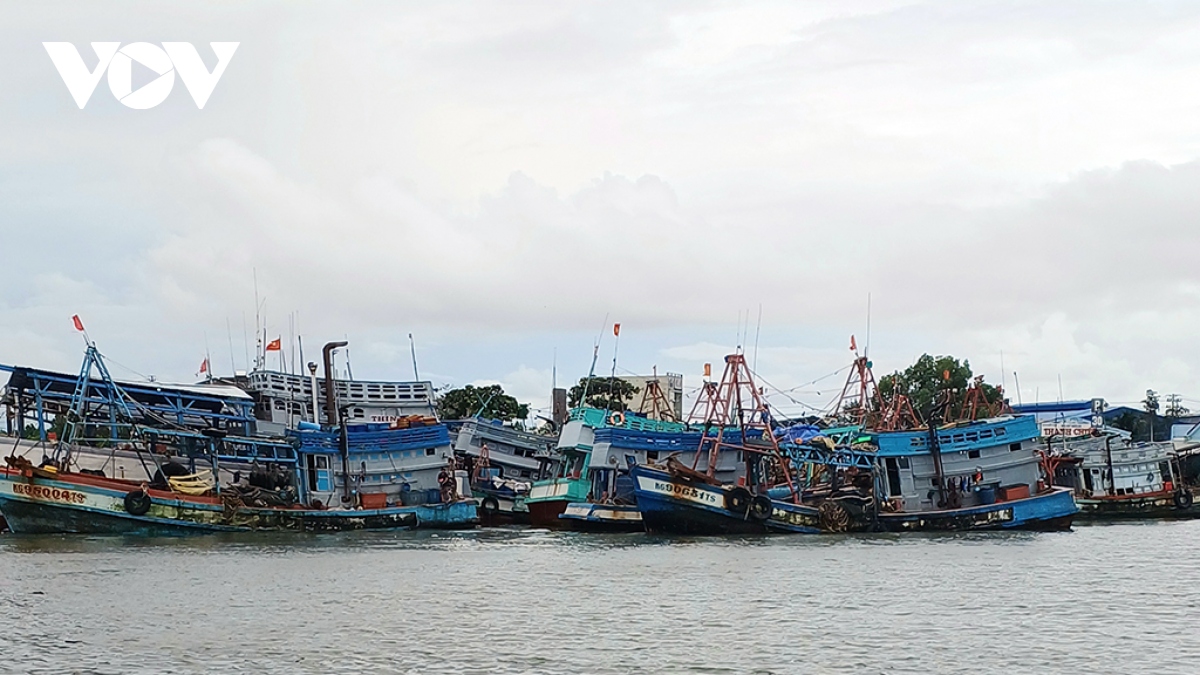 bac lieu trien khai nhieu bien phap giup ngu dan chap hanh cac quy dinh iuu hinh anh 1