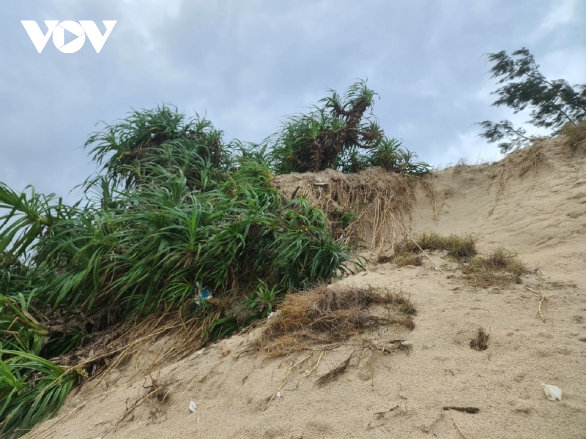 nhieu bo bien o quang binh sat lo nang hinh anh 5