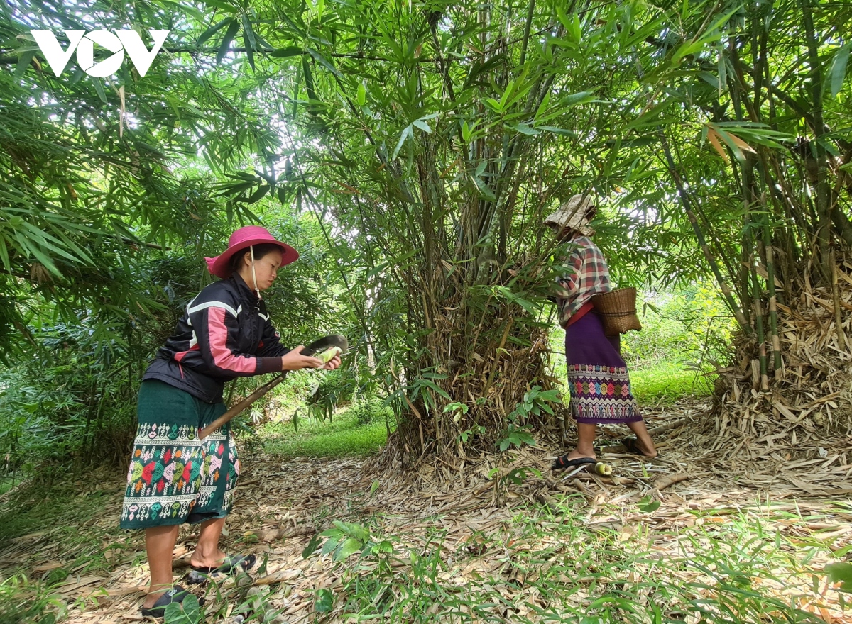 Dong bao mien nui tinh quang binh lam san pham ocop hinh anh 2