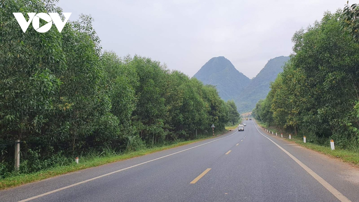 phia sau tinh trang nong vi pham dat dai tai quang chu, bac kan hinh anh 1