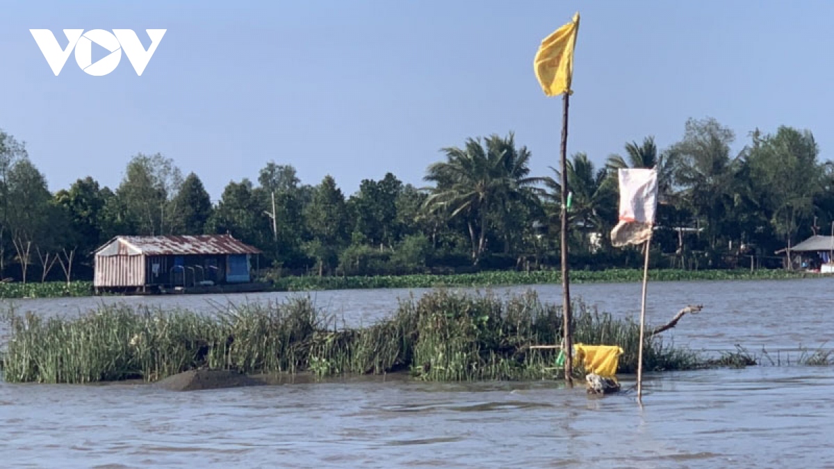 tien giang pha bo con chim, noi giua song gay can tro giao thong duong thuy hinh anh 1