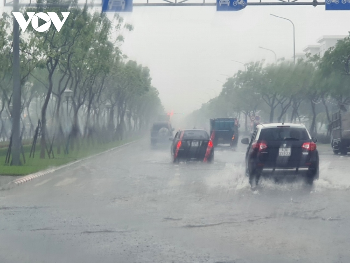 mua to, Da nang ban hanh cong dien ung pho hinh anh 3