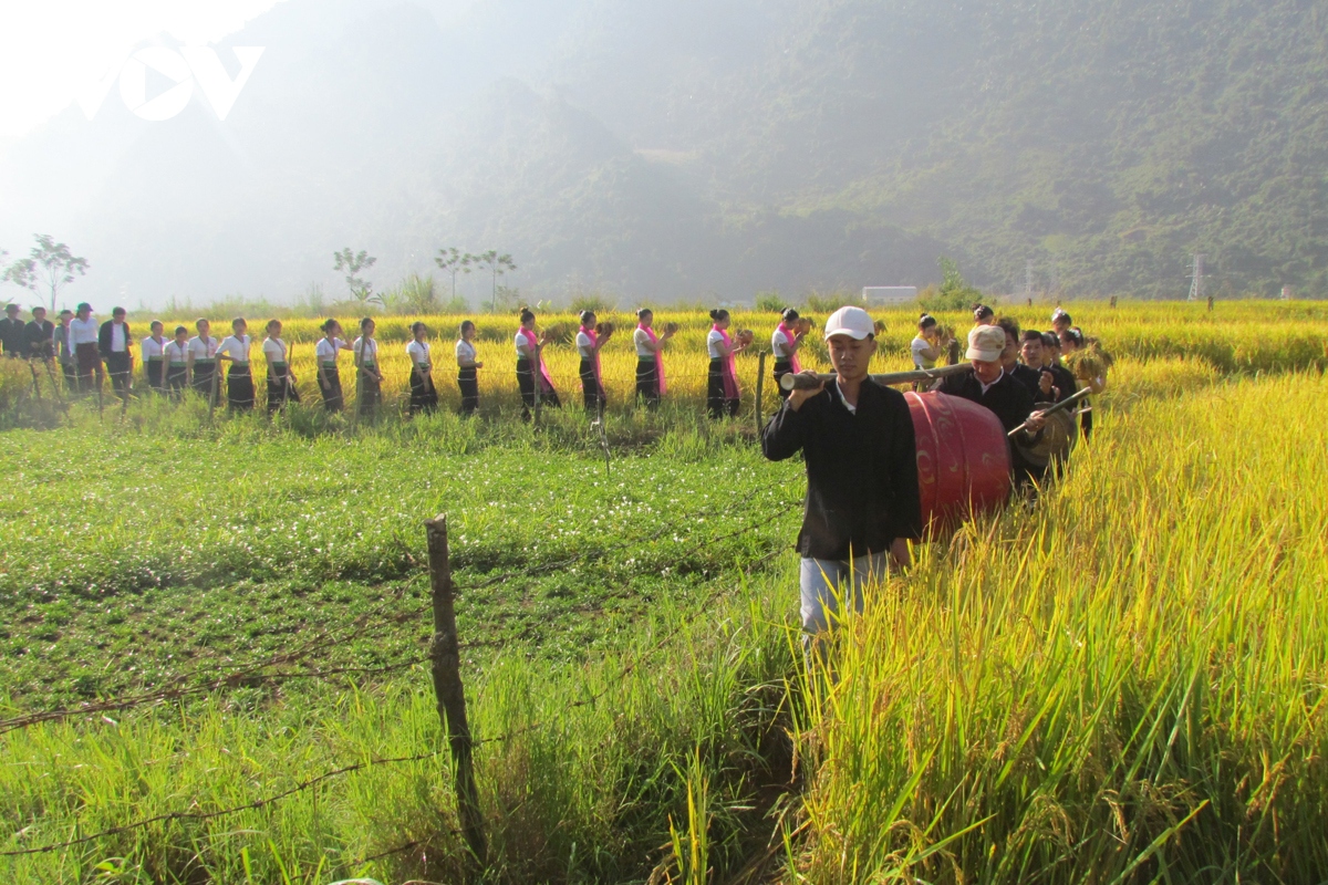 Dac sac le hoi kin lau khau mau cua dong bao thai trang phong tho hinh anh 2