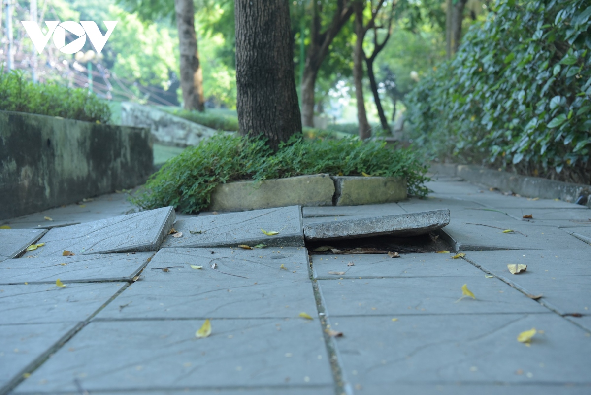 cong vien o cau giay xuong cap, nguoi dan e de khi vui choi, the duc the thao hinh anh 6