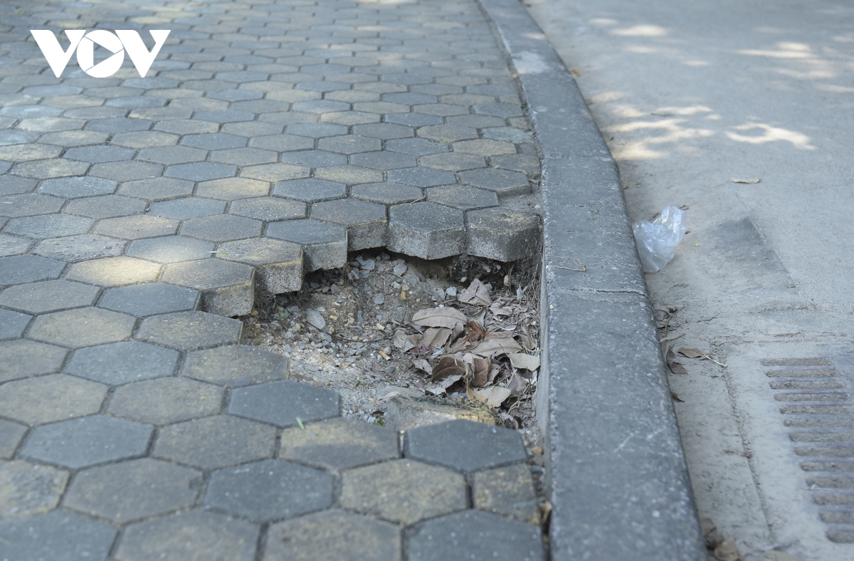 cong vien o cau giay xuong cap, nguoi dan e de khi vui choi, the duc the thao hinh anh 7