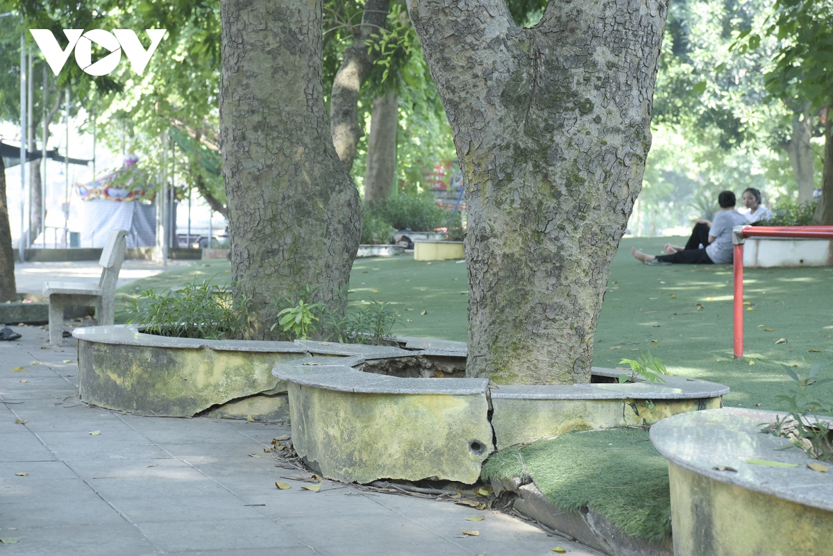 cong vien o cau giay xuong cap, nguoi dan e de khi vui choi, the duc the thao hinh anh 13