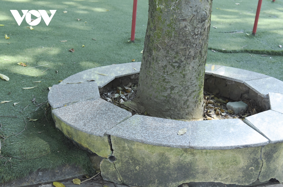 cong vien o cau giay xuong cap, nguoi dan e de khi vui choi, the duc the thao hinh anh 5