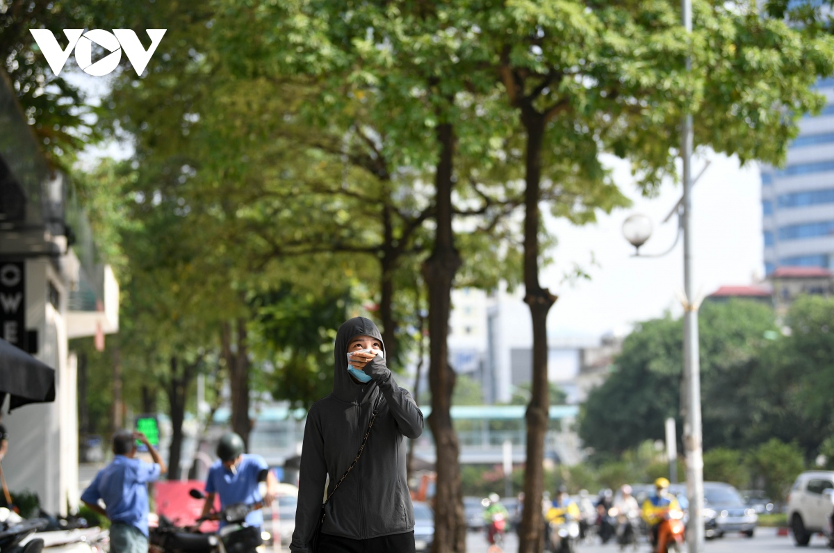 nguoi dan ung ho de xuat di doi 80 cay hoa sua vi mui huong qua nong nac hinh anh 3