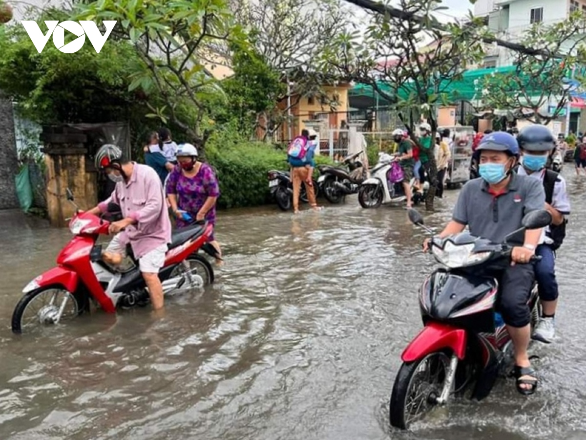 bac lieu khan truong ung pho voi dot trieu cuong dat dinh hinh anh 1